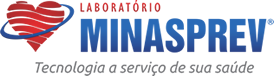 Grupo Minasprev